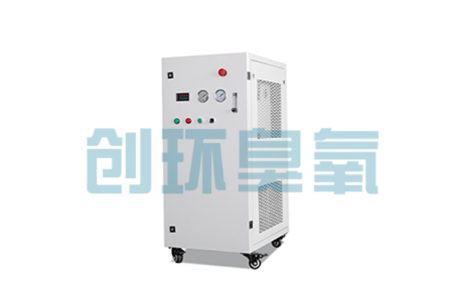 大连比传统换水更高效？臭氧发生器在石斑鱼养殖中的水质净化原理解析